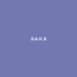 隐私政策